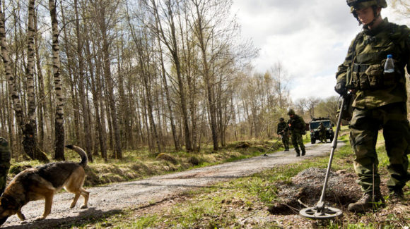 More than 1,000 personnel from 21 countries and organisations as well as non-European observers participated in the multinational Counter Improvised Explosive Devices (C-IED) exercise Bison Counter 2016 (BC16). The