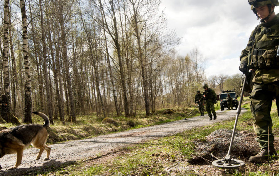 More than 1,000 personnel from 21 countries and organisations as well as non-European observers participated in the multinational Counter Improvised Explosive Devices (C-IED) exercise Bison Counter 2016 (BC16). The