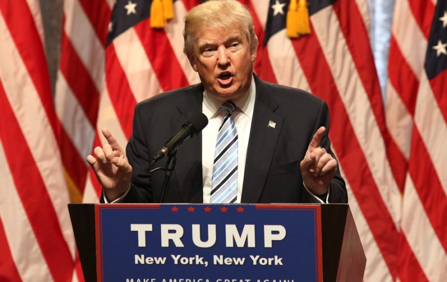 With only a few days left until President-elect Trump ’s inauguration, we look at his picks for the cabinet team so far.