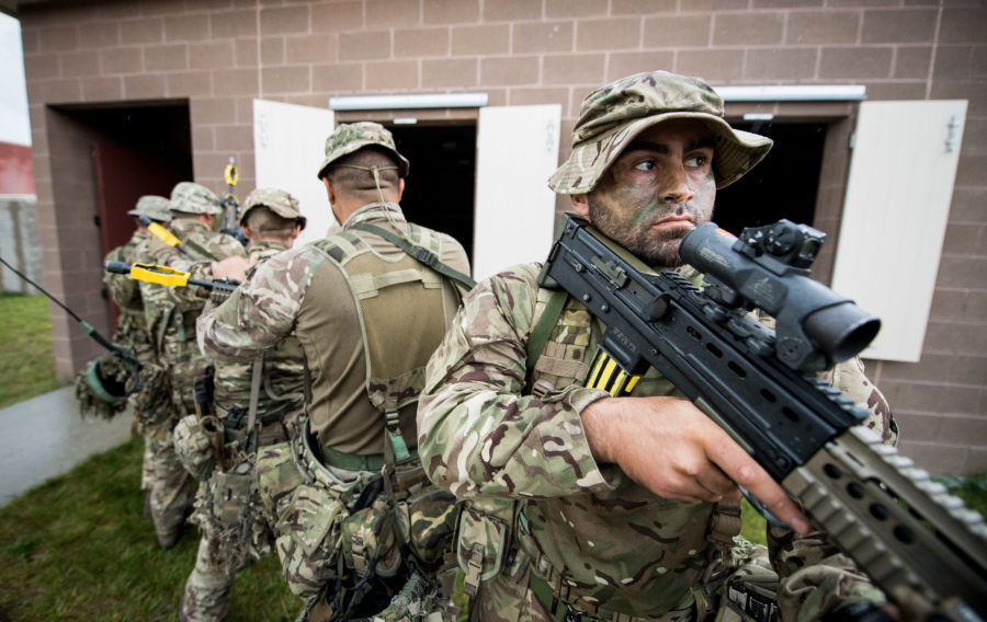 3 PWRR on Exercise Northern Strike in USA