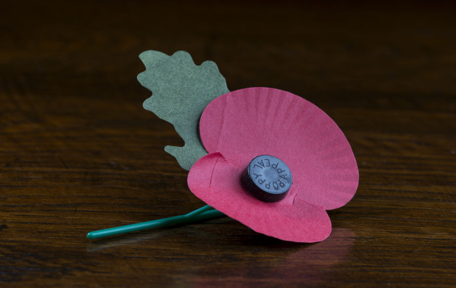 Defence Minister leads plaudits for The Poppy Factory