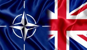 NATO Contributions