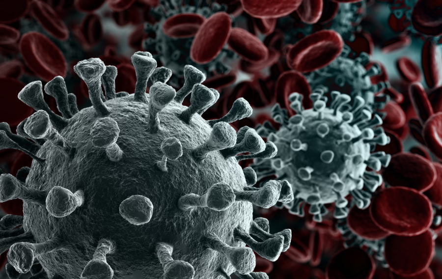 Government cracks down on false coronavirus information online