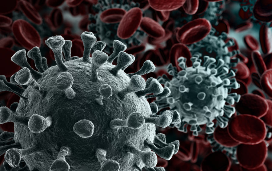 First new ventilators to roll off production line this weekend