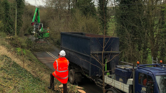DPRTE partner DIO complete A345 ash dieback tree felling