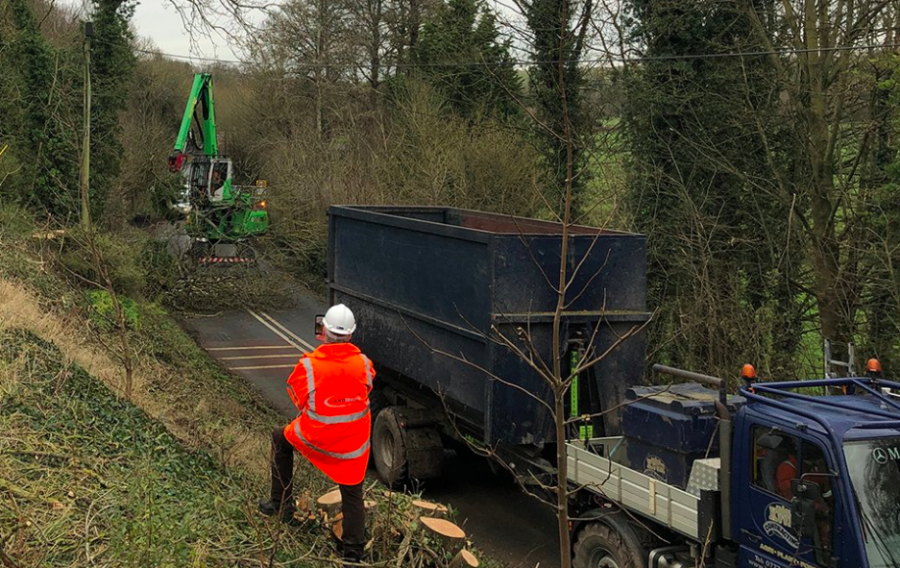 DPRTE partner DIO complete A345 ash dieback tree felling