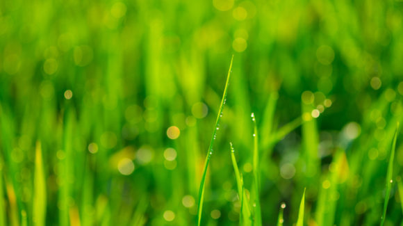 DPRTE sponsor Tetra Tech wins USACE environmental services contract