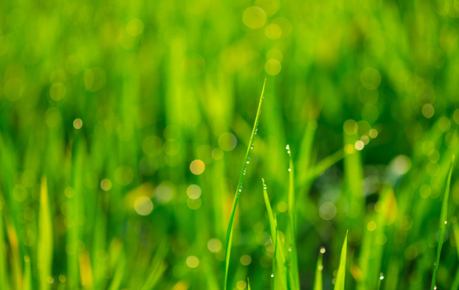 DPRTE sponsor Tetra Tech wins USACE environmental services contract