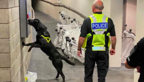 MDP Dog Unit awarded national accreditation