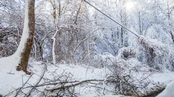 UK military deployed to Scotland to aid Storm Arwen response