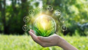 Schneider Electric strengthens partnerships for sustainability
