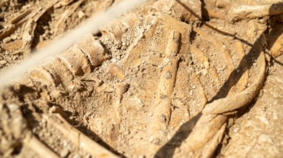 Work at Salisbury Plain Training Area has uncovered an Anglo-Saxon burial site during an archaeological dig.