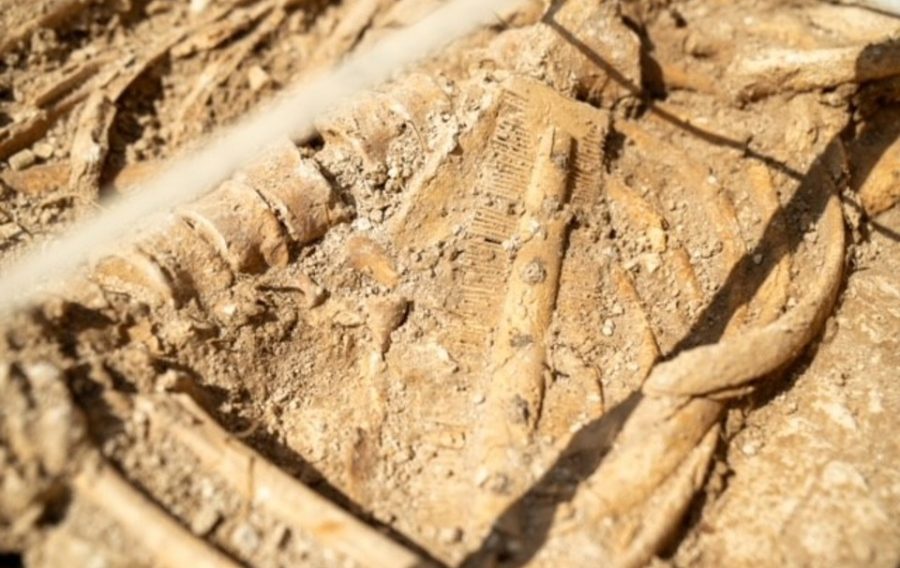 Work at Salisbury Plain Training Area has uncovered an Anglo-Saxon burial site during an archaeological dig.