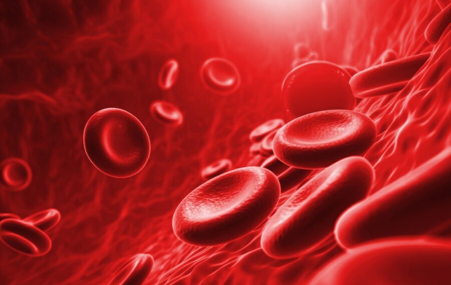 A new £50 million funding opportunity has been announced to establish a research centre dedicated to the development of novel blood products